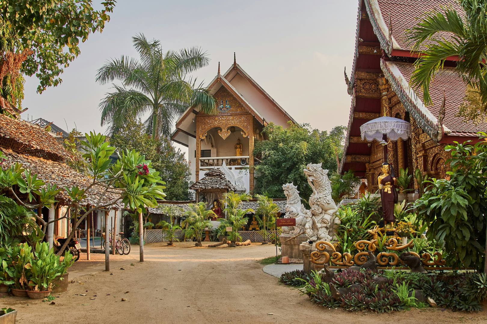 Authentique Bangkok/CM (Solo, 10j)